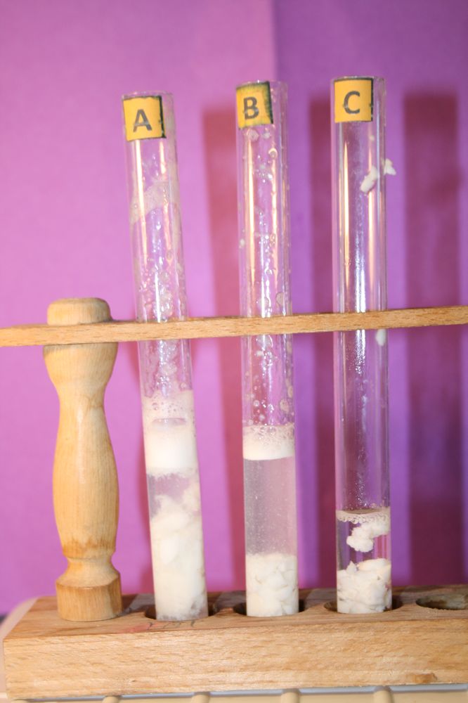 gal/LES_CINQUIEMES/ACTIVITE DIGESTION IN VITRO/Groupe_05/Groupe05_T_00h20min/Groupe05_T_00h_20min_18.JPG